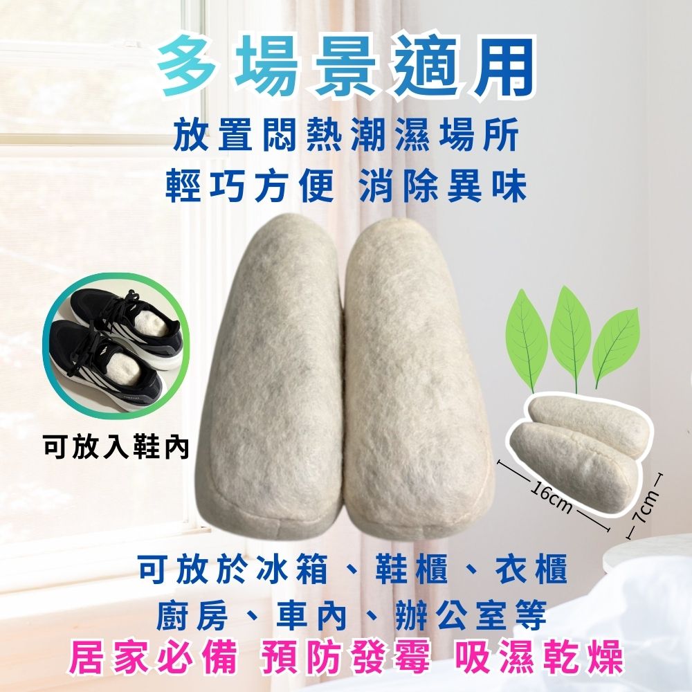 GS MALL 台灣製造 一組2入 茶香除濕除臭包 除溼包 除臭包 除濕防臭 吸濕乾燥 茶香除濕 茶香除臭 除臭, , large