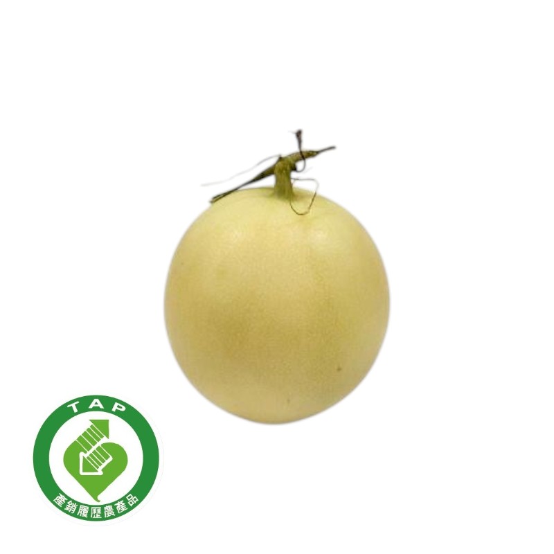 Argentine Honeydew, , large