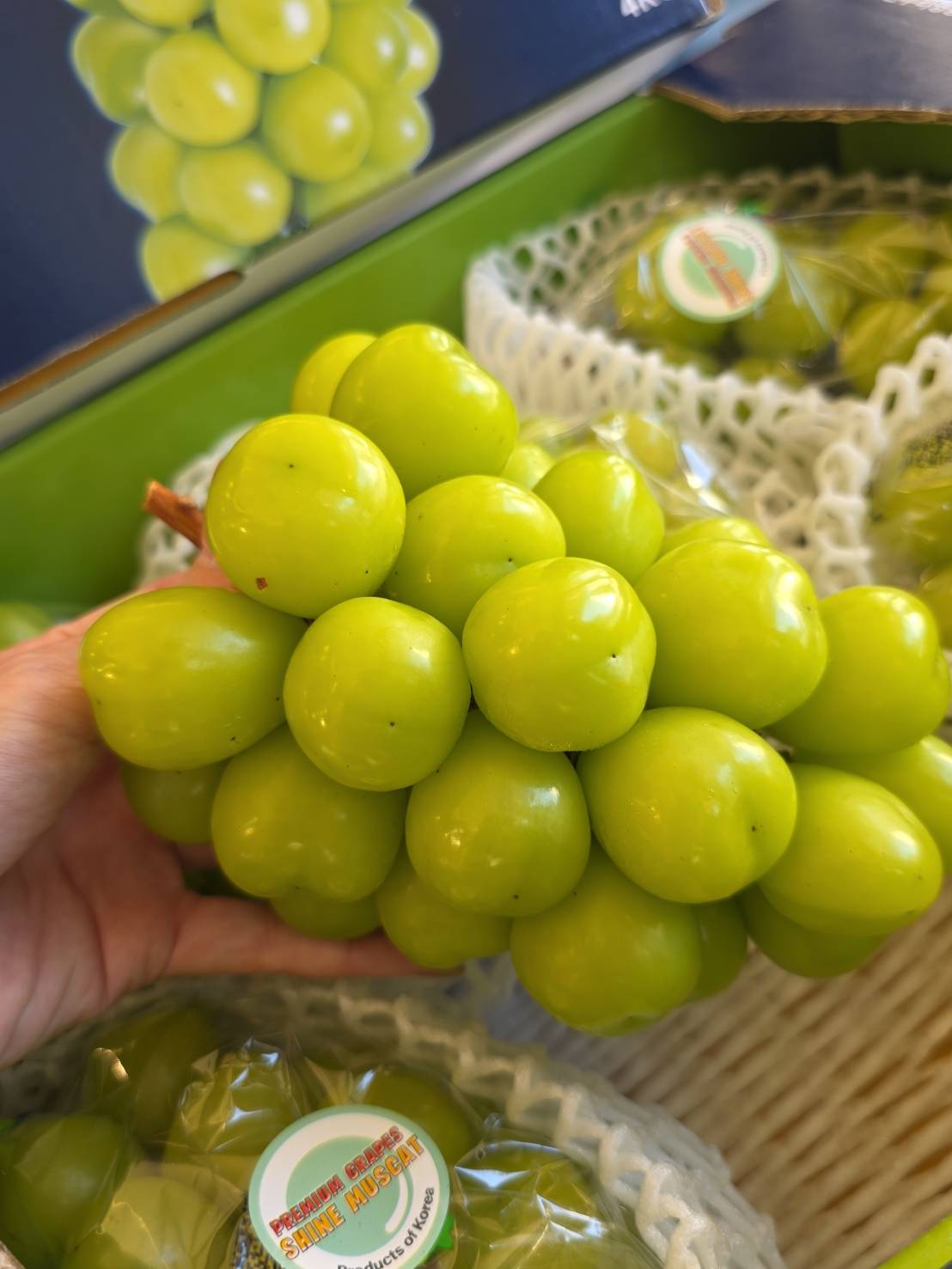  Korean Shine Muscat, , large