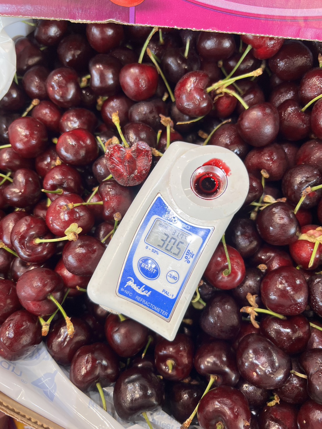 Black Cherry, , large