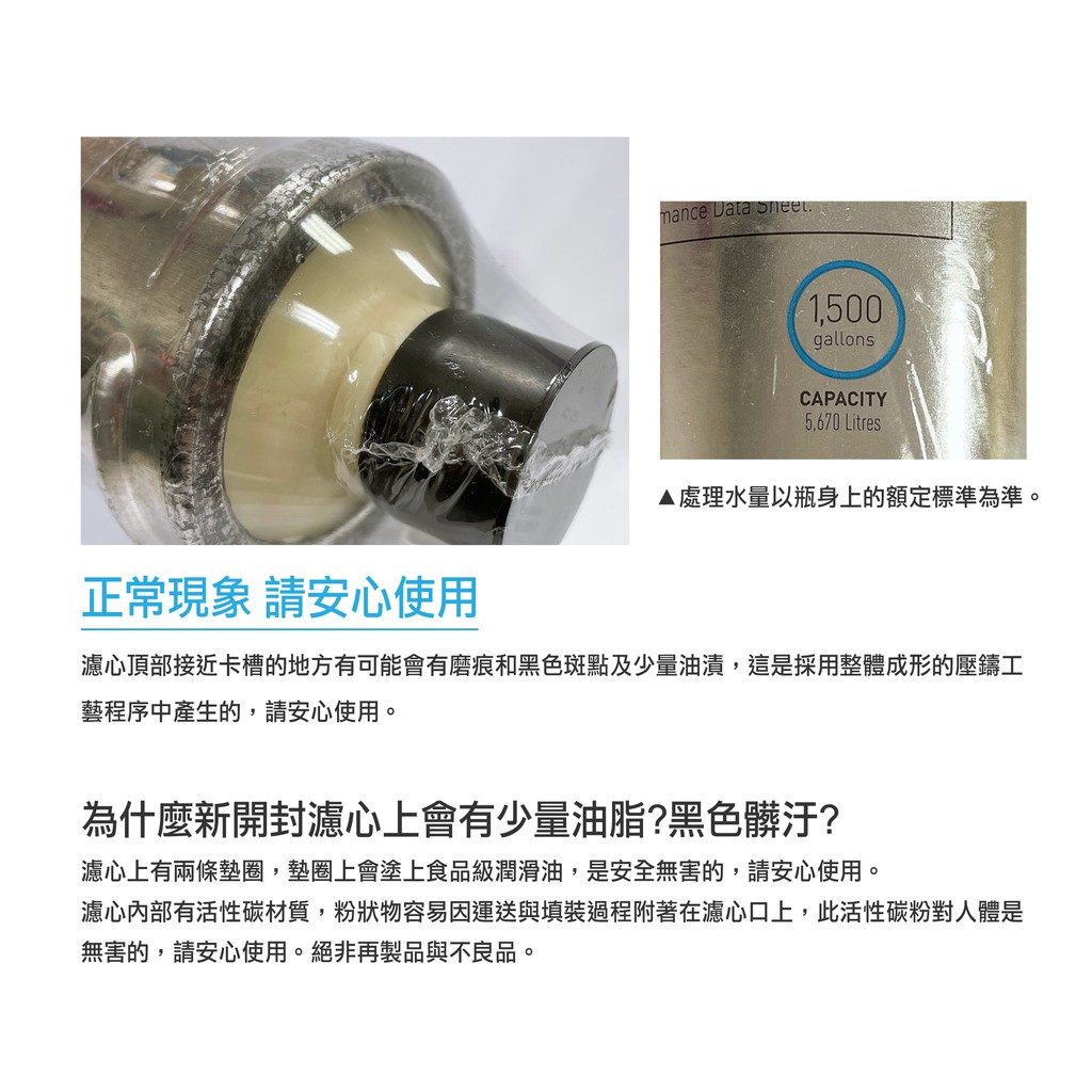【麗水生活】EVERPURE 愛惠浦S-100愛惠浦S-100 濾心-美國原裝進口濾心 餐飲業界用濾心 箱價, , large