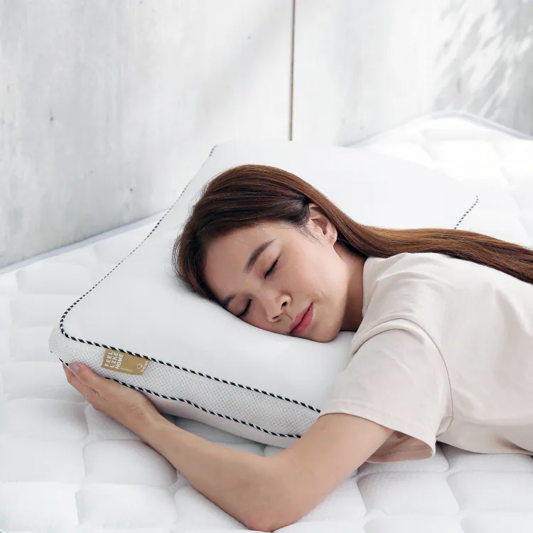 silver-ion-spring-pillow, , large