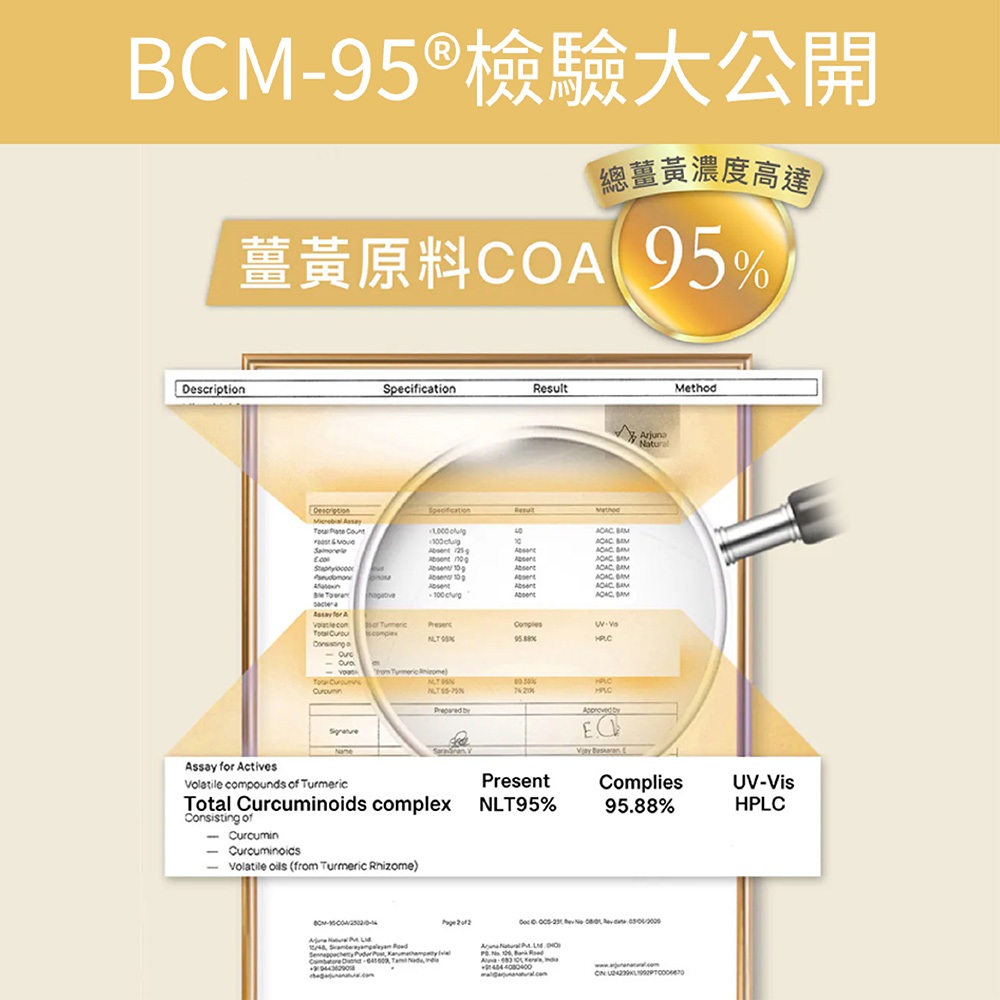 【FJ豐傑生醫】高效能薑黃BCM-95(30顆/盒)-超越一般薑黃， 95%效性成分。滋補強身x病後補養x降火氣, , large
