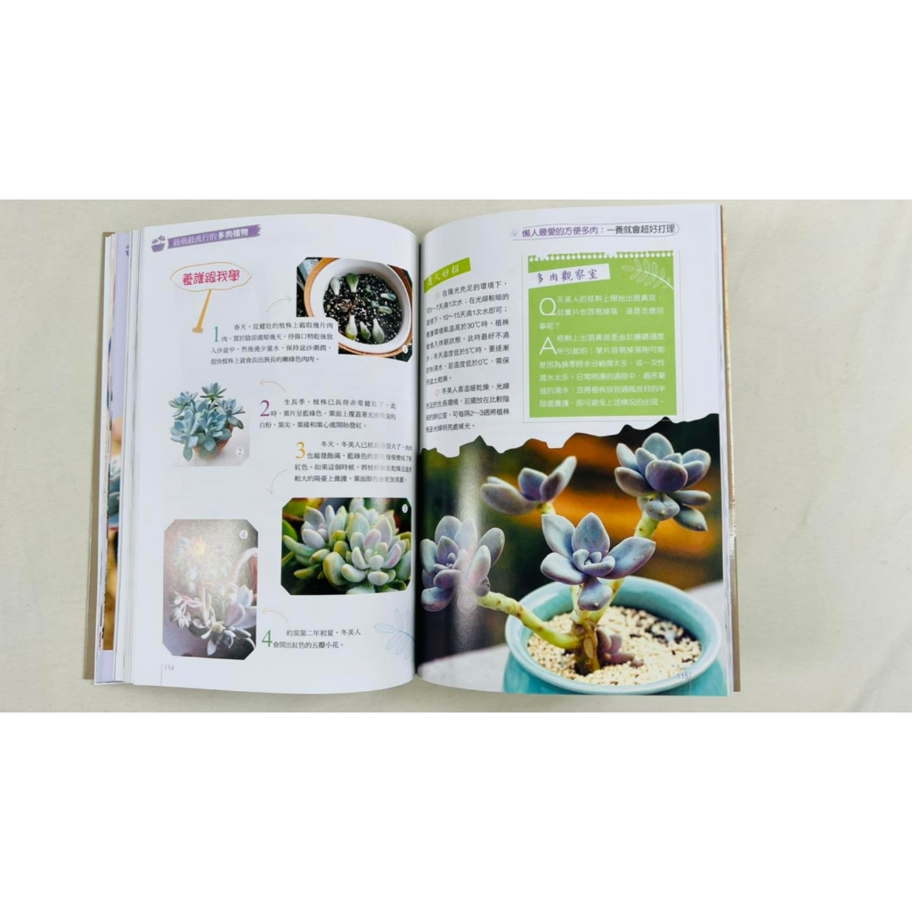 《南門書局》多肉植物系列2本, , large