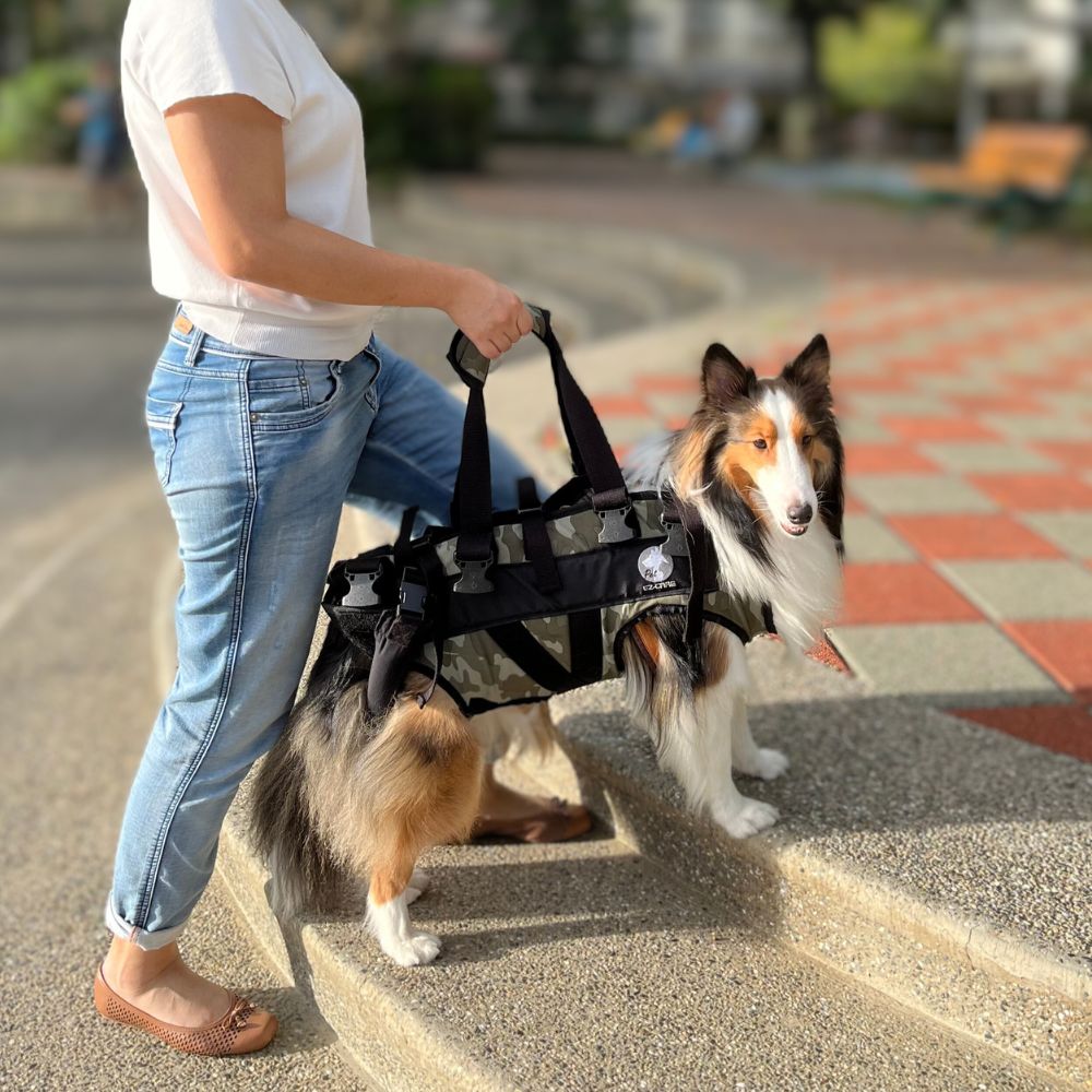 Pet assistance vest, , large