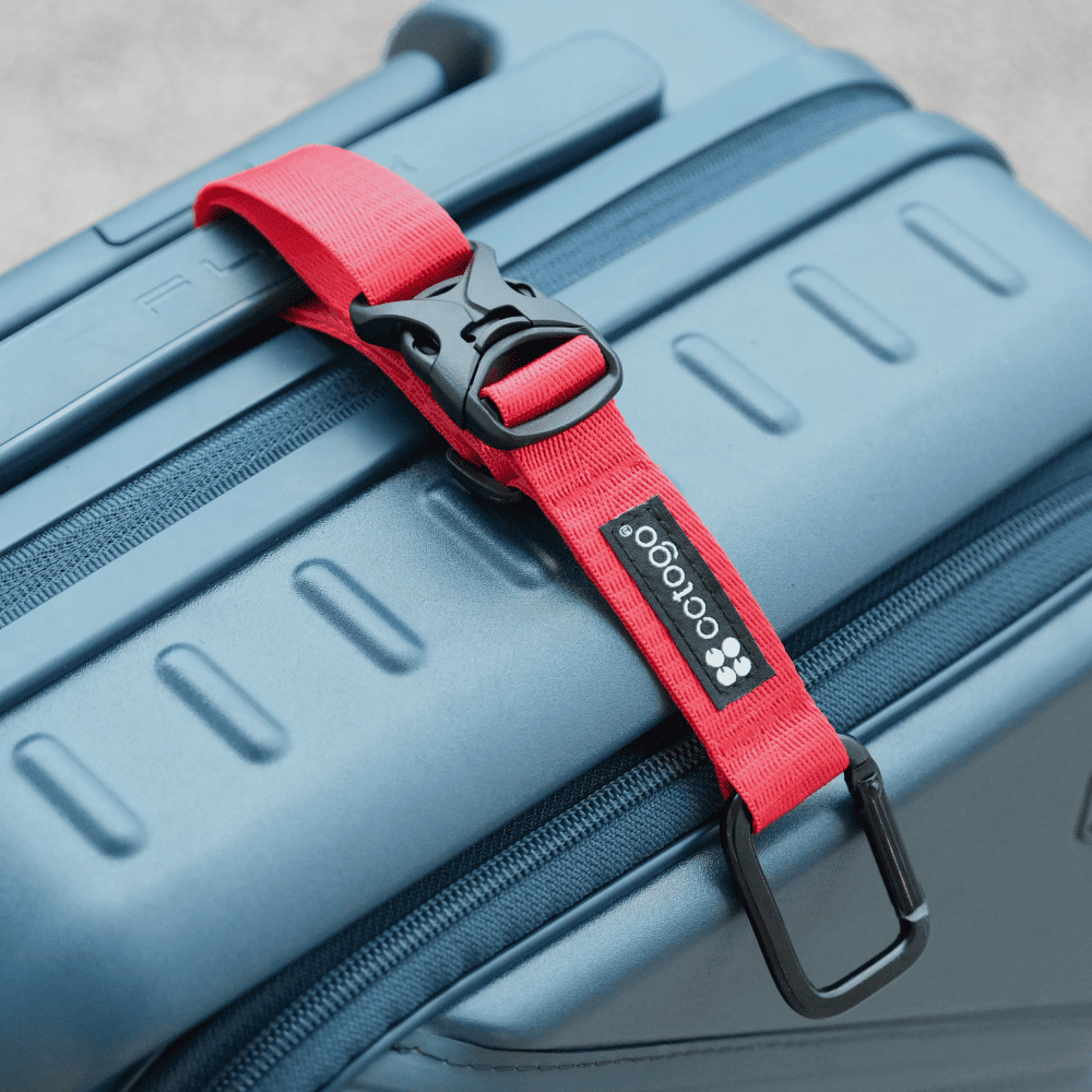 多功能掛釦 榴紅, , large