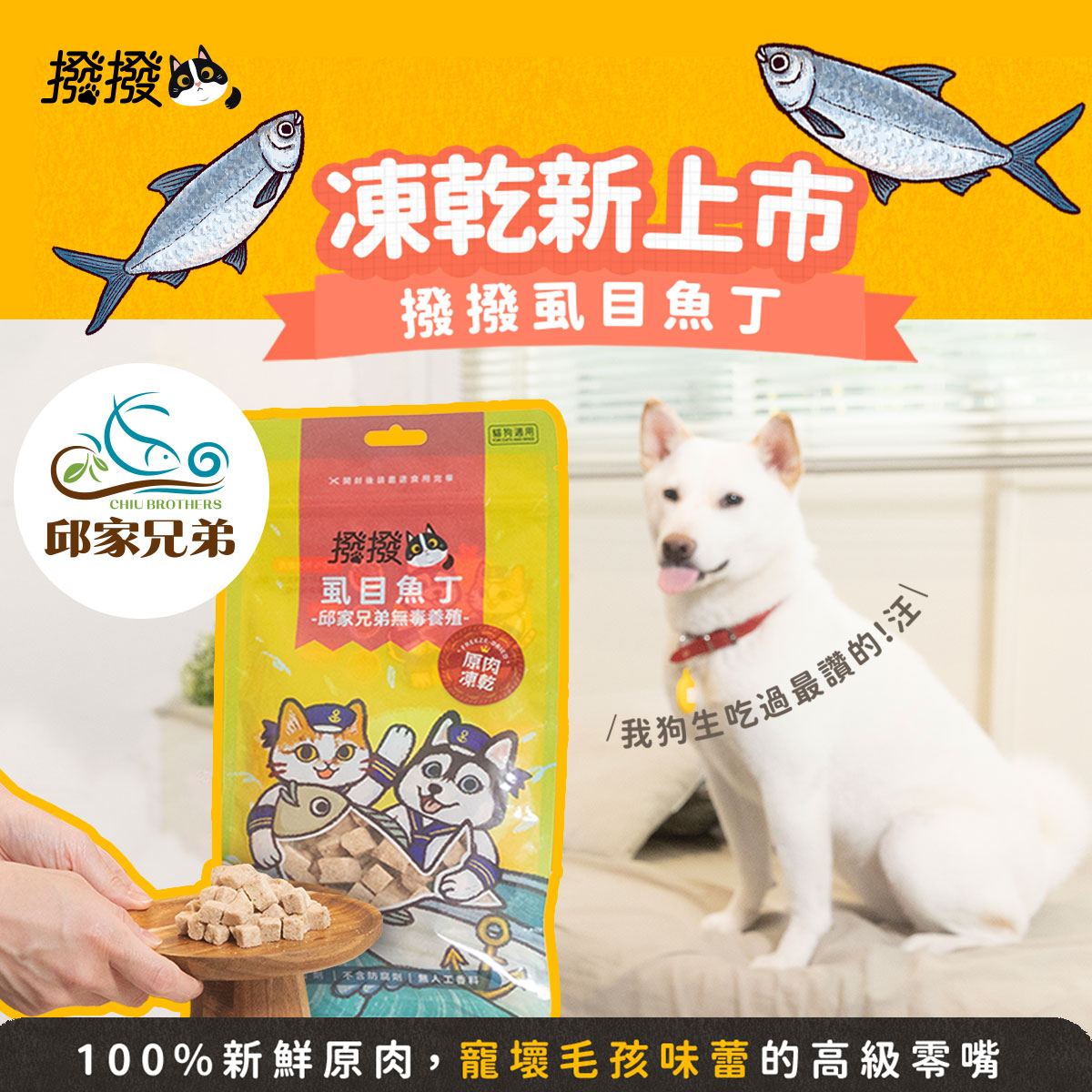 【撥撥】虱目魚丁 - 邱家兄弟無毒養殖，貓狗適用原肉凍乾｜每包40g, , large