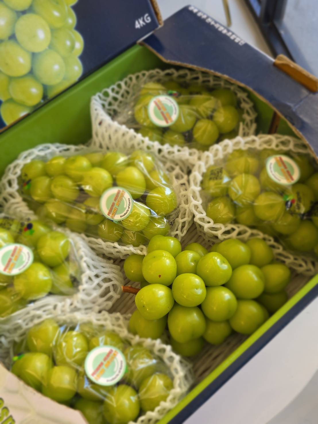  Korean Shine Muscat, , large