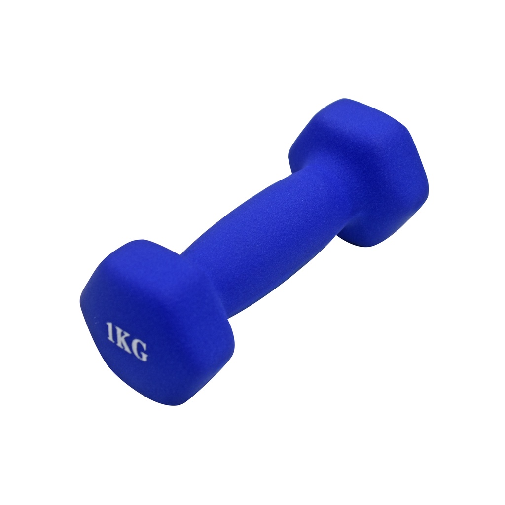 【Healgenart】1KG有氧啞鈴 六角磨砂啞鈴(單支), , large