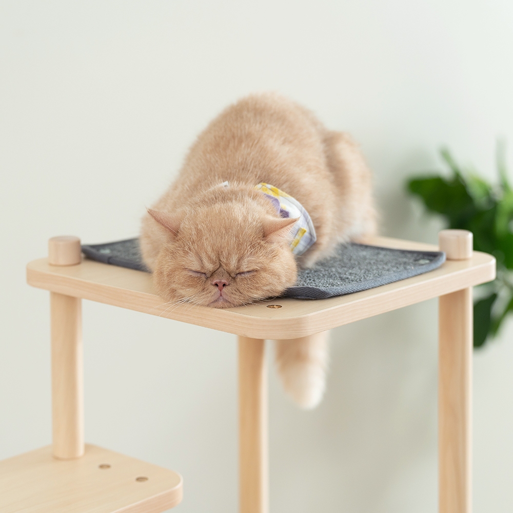 【paipaipets】Short-Legged Cat Jumping Staircase, , large