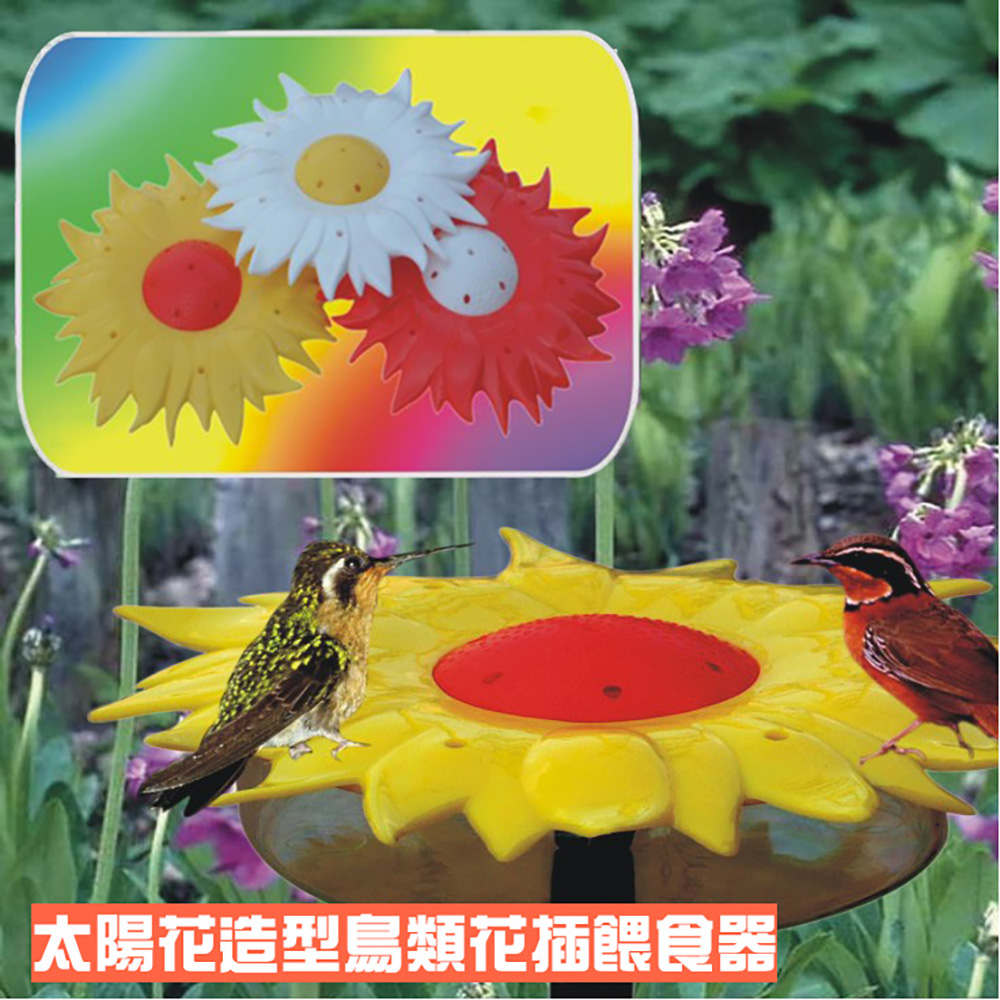 GS MALL 台灣製造 鳥類花插餵食器 園藝餵鳥器 小鳥餵食器 園藝花插 園藝造景 太陽花造型 園藝裝飾, , large