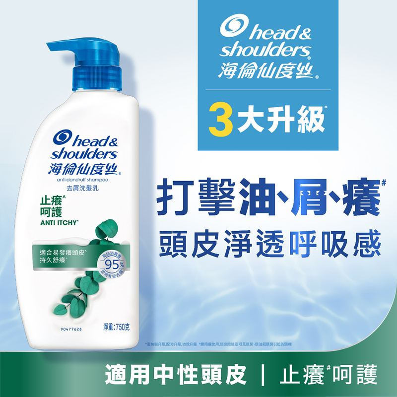 HS AD Shampoo 750ml Anti-I, , large