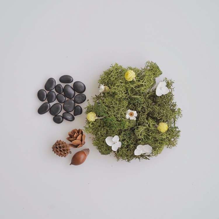 【paipaipets】Miniature Prairie-Green, , large