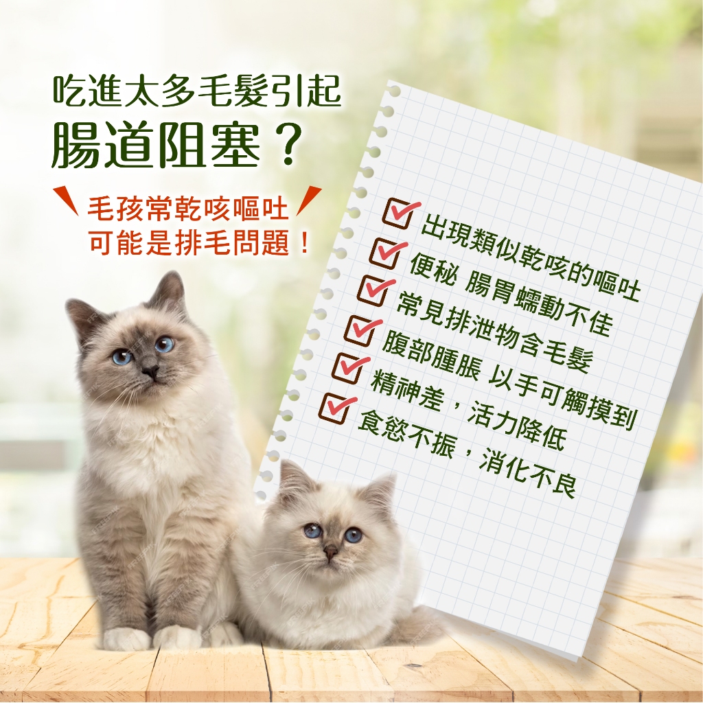 呆丸喵-排毛寶 (犬貓專用)寵物保健 寵物貓咪毛小孩的排毛粉, , large