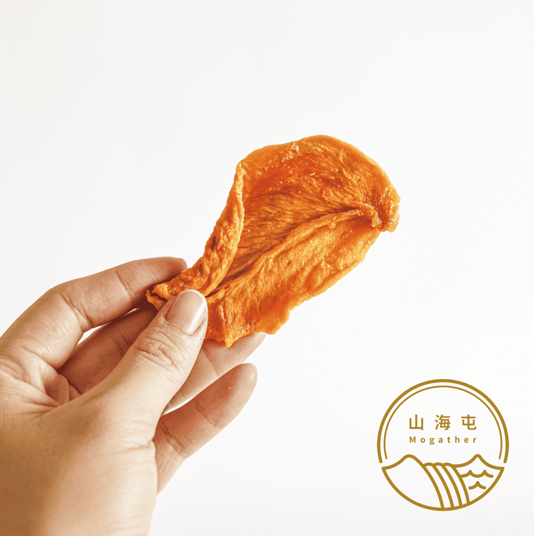 【山海屯】自然果實-愛文芒果乾110g, , large