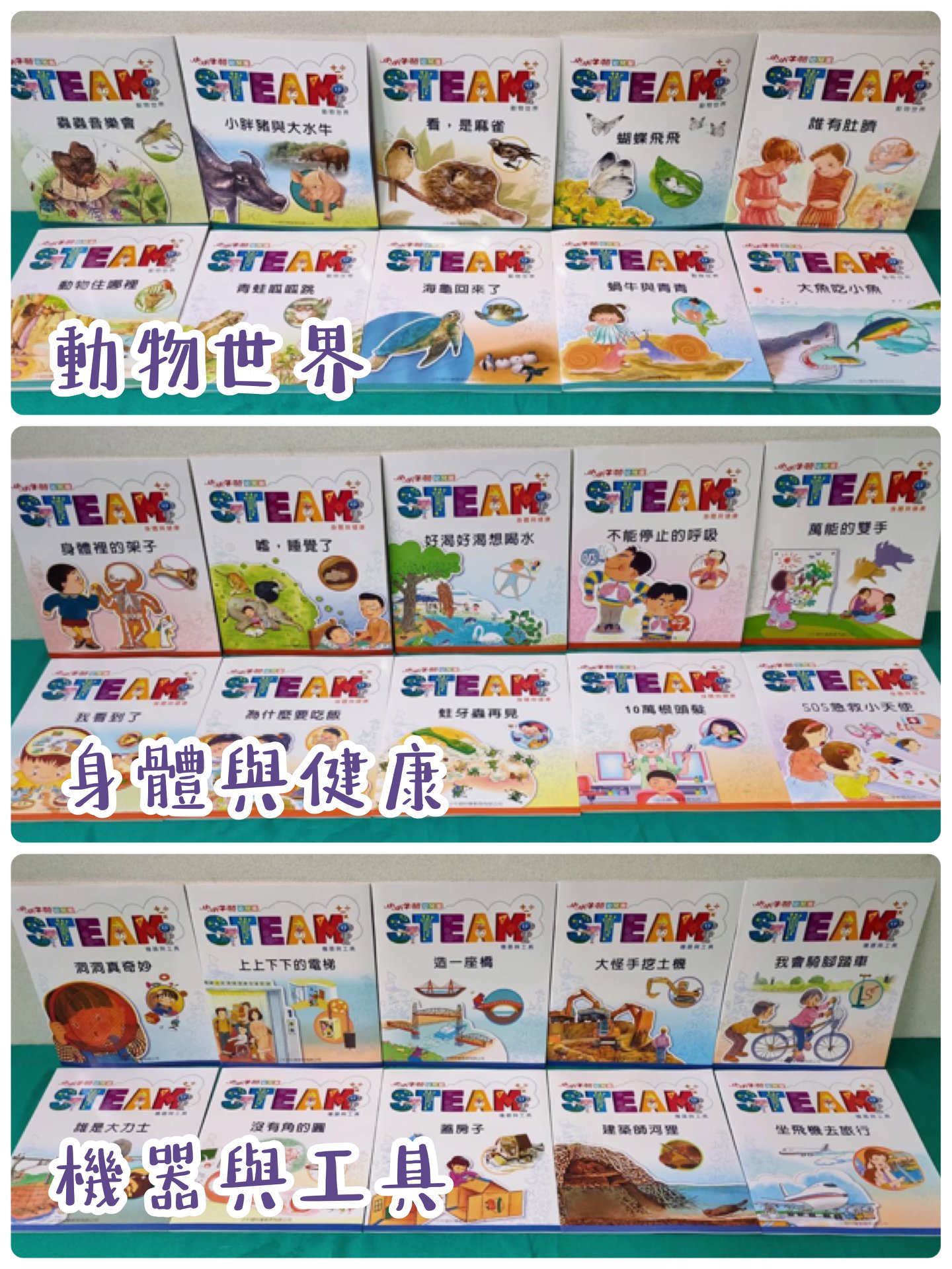 《南門書局》小小牛頓幼兒館 STEAM１＋２輯 共60本 單購書, , large