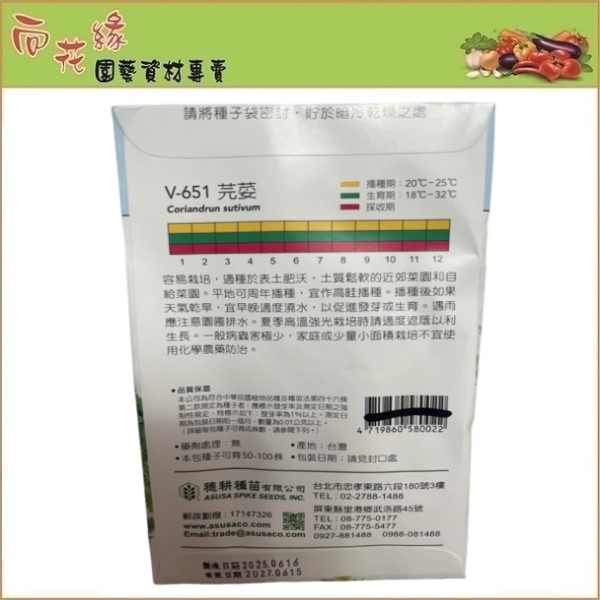 【向花緣】天星牌 芫荽 - 蔬菜種子, , large