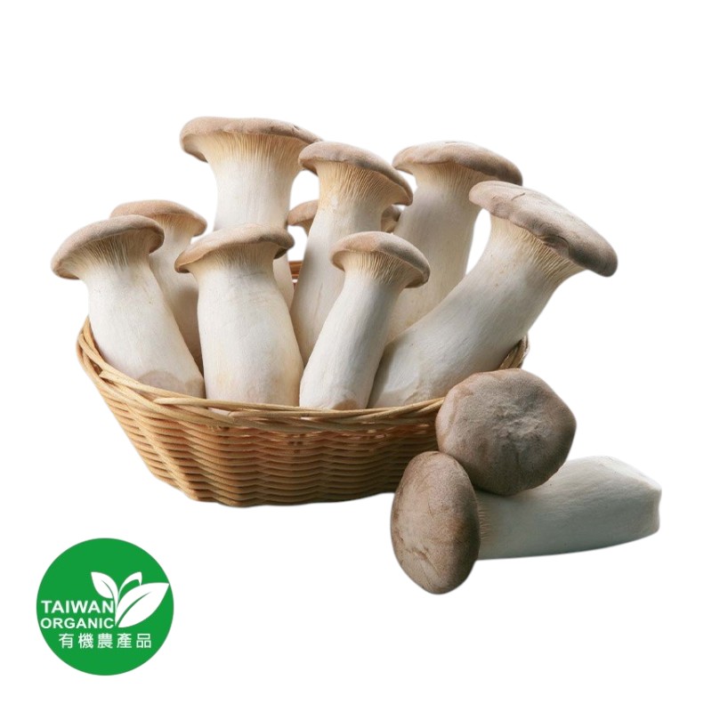 CFBIO King Oyster, , large