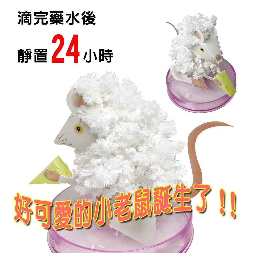 金德恩 GS MALL 台灣製造 魔法成長錢鼠 魔法開花鼠 成長鼠 錢鼠 神奇錢鼠 紙花 開花鼠 裝飾樹 開花樹, , large