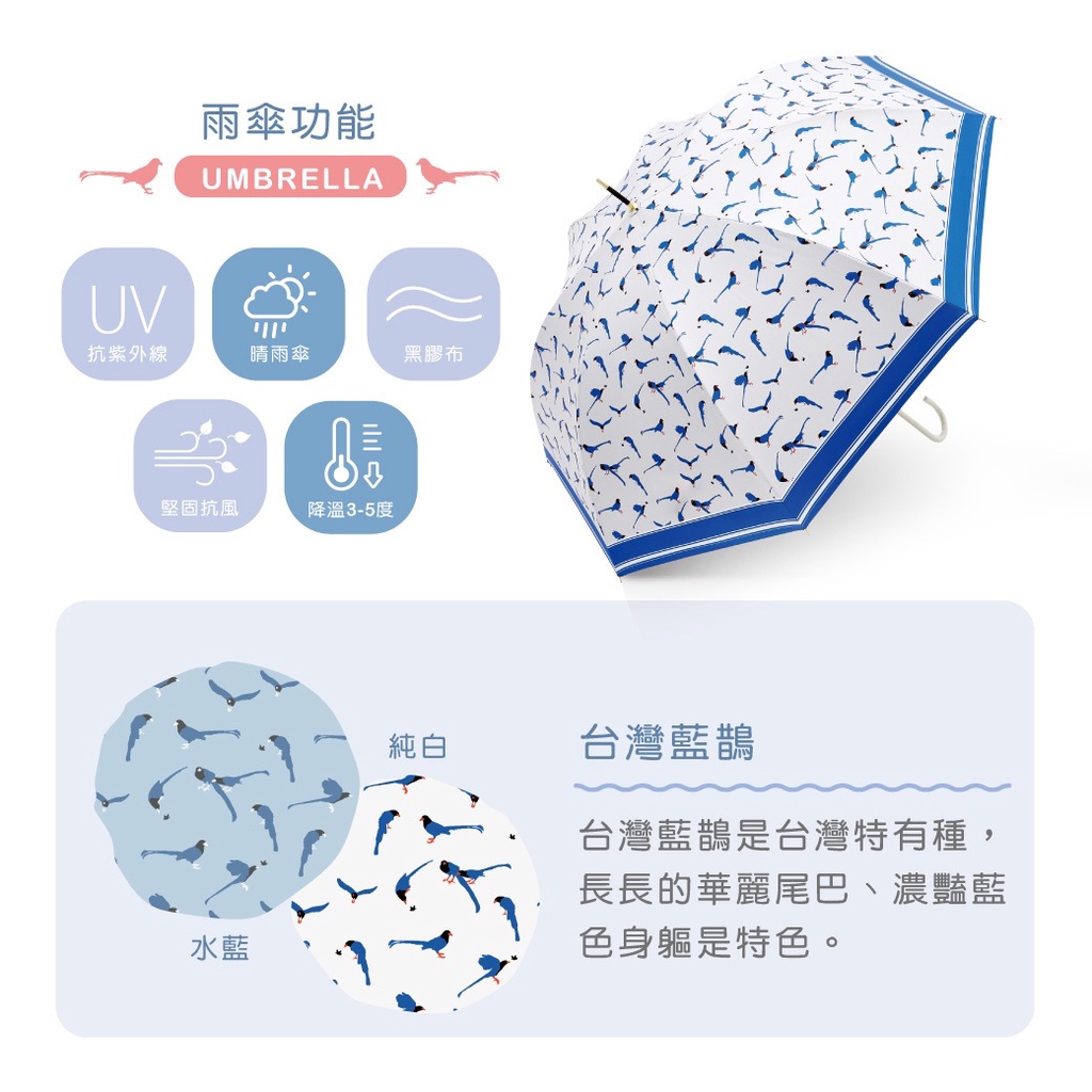 【周周生活】雨傘 現貨 自動傘 遮陽傘 陽傘 台灣藍鵲 直傘 晴雨傘 抗uv 傘 輕量雨傘 日系雨傘 快速出貨, , large
