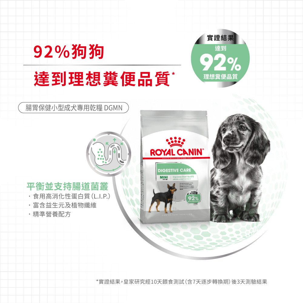 Royal Canin Digestive Care for Small Adult Dogs DGMN, , large
