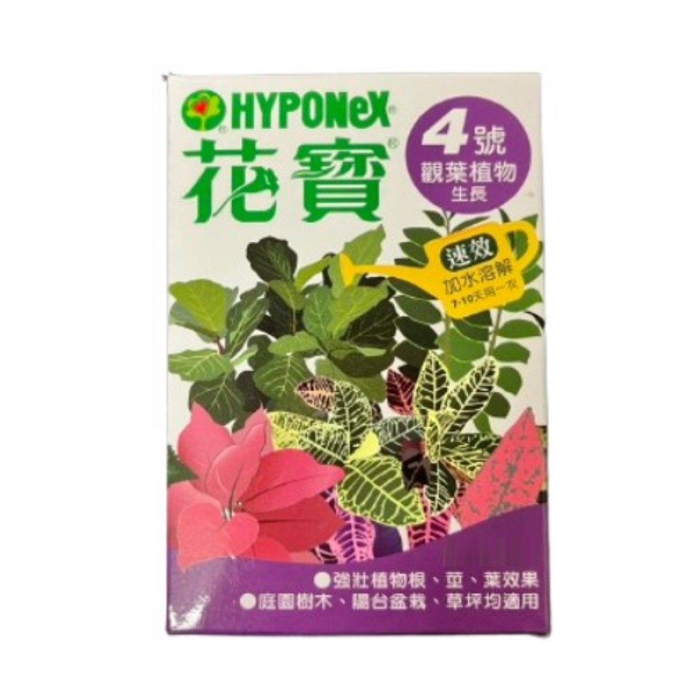 【向花緣】花寶4號 觀葉植物生長 - 50g