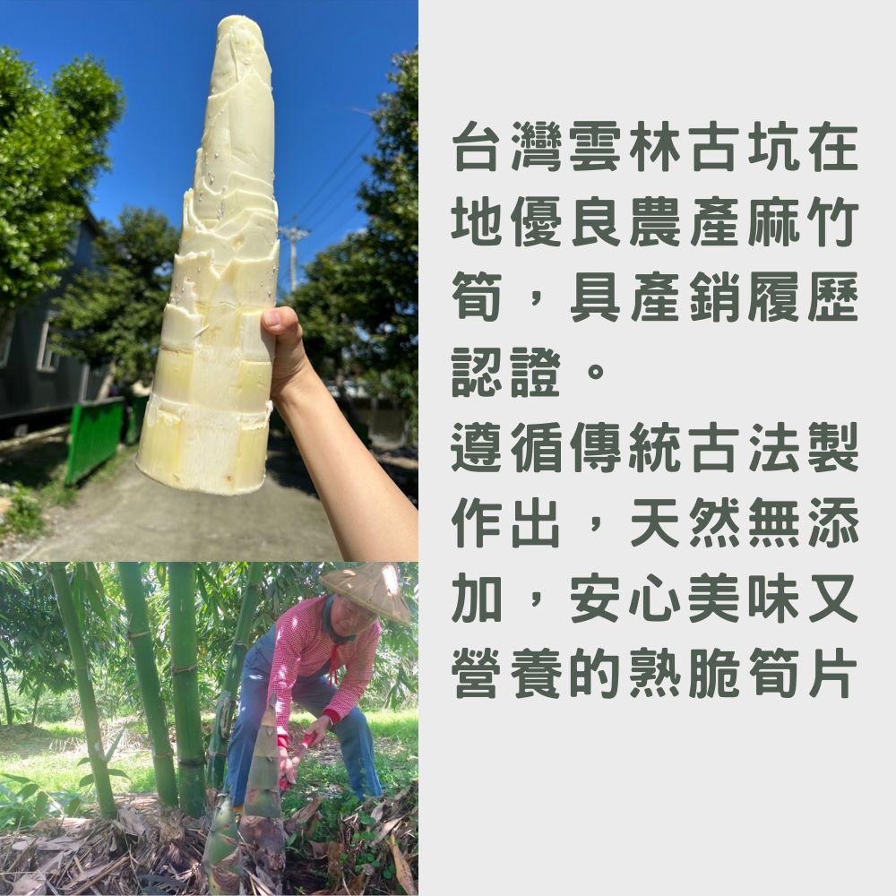 【筍友部落】熟脆筍片(全素) 600g 雲林古坑在地麻竹筍 常溫 無防腐劑 無漂白 筍片 煮湯 拌沙拉 清炒筍片, , large