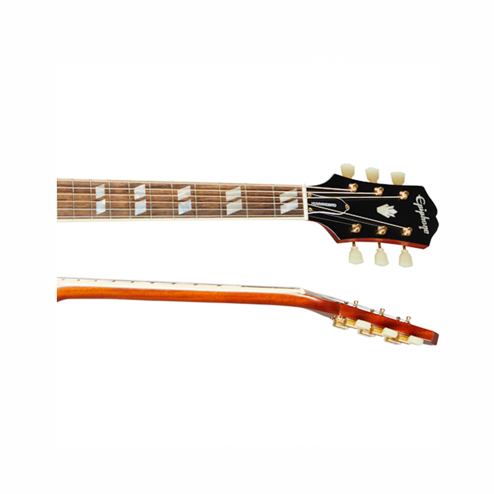 Epiphone Hummingbird All Solid 蜂鳥全單板電民謠吉他【敦煌樂器】, , large