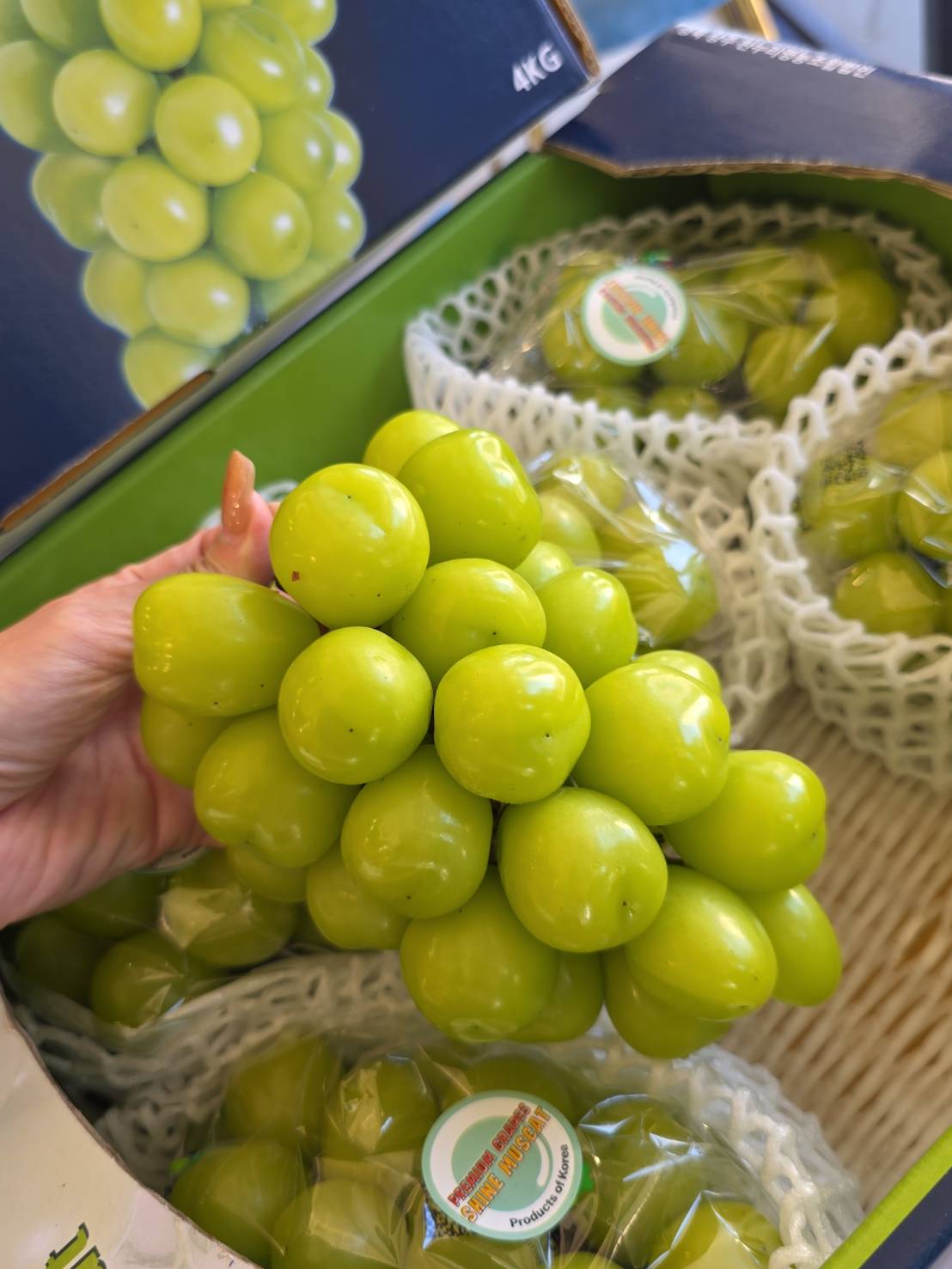  Korean Shine Muscat, , large