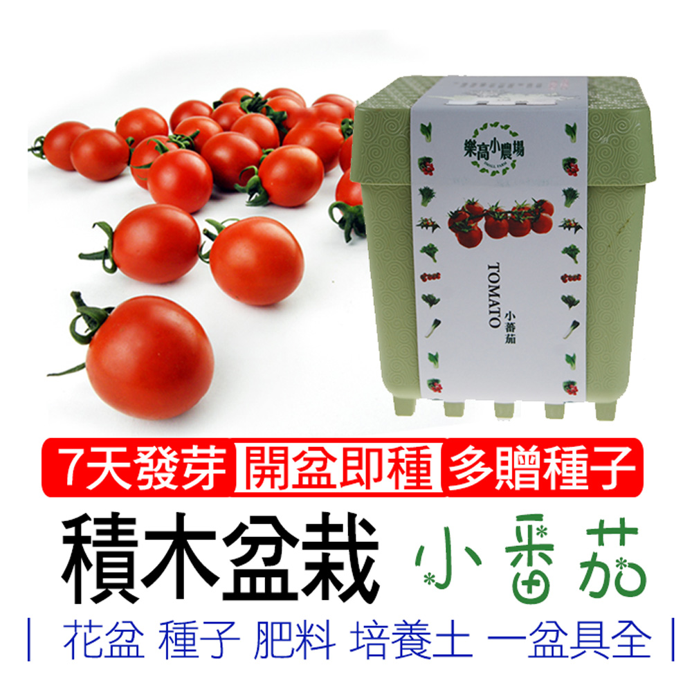 【心安購物】iPlant積木盆栽-小蕃茄, , large