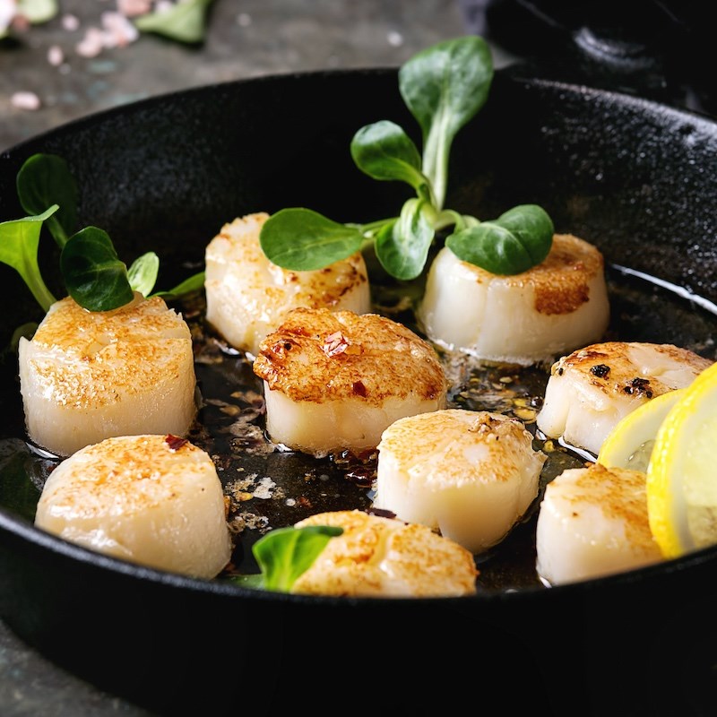 Scallops, , large