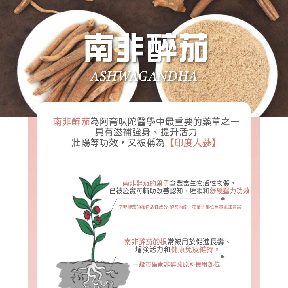 【虎揚】LIFE+ 貓紓壓膠囊 (30粒/盒) 寵物保健, , large