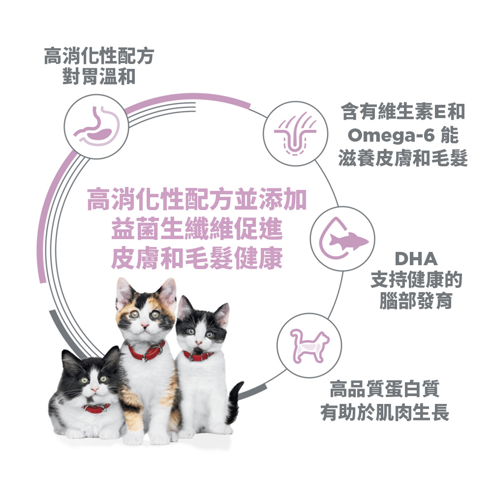 【Hills 希爾思】幼貓 敏感胃腸與皮膚 鮭魚與糙米特調 3.5磅 1.58kg (608559), , large