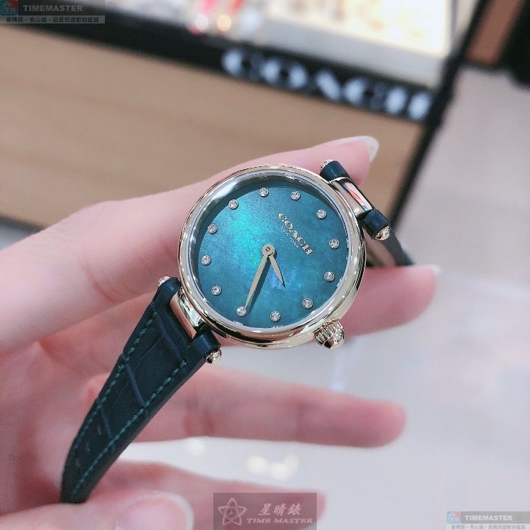 [TIMEMASTER] COACH watch, 24mm, CH00075, , large