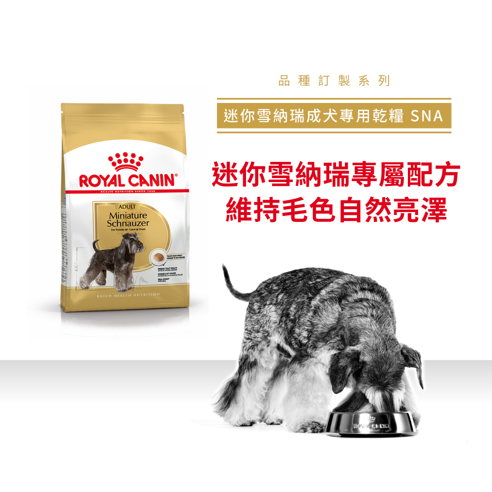 【Royal Canin法國皇家】西施成犬STA, , large
