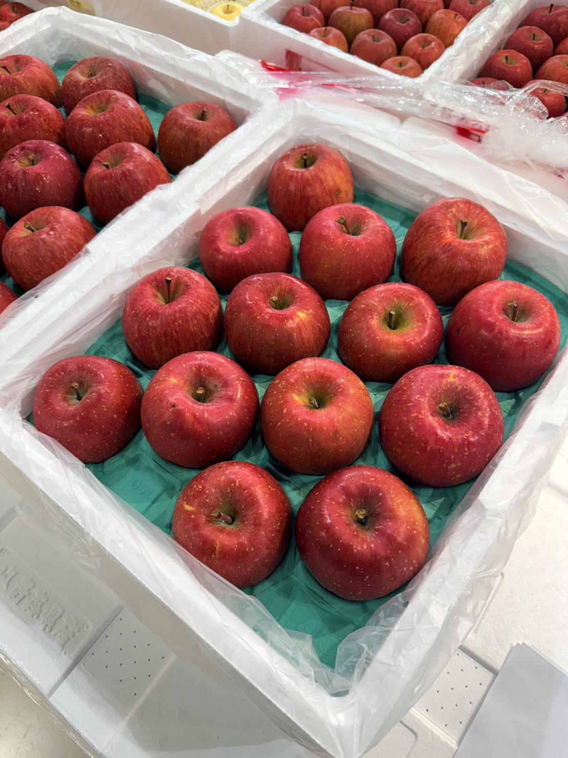 Aomori Honey Fuji Apple, , large