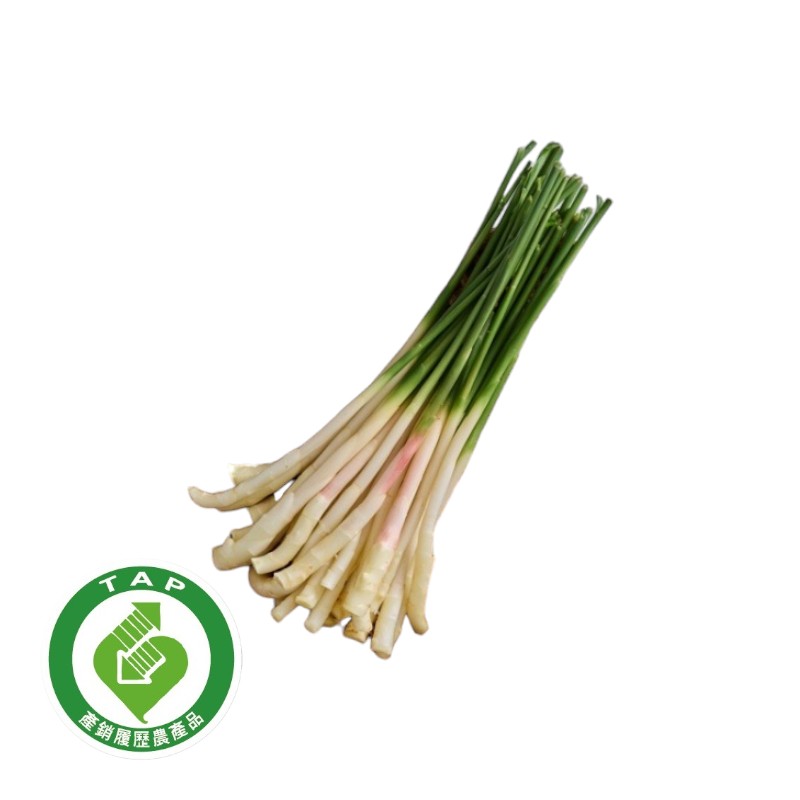 履歷葉生薑100g, , large