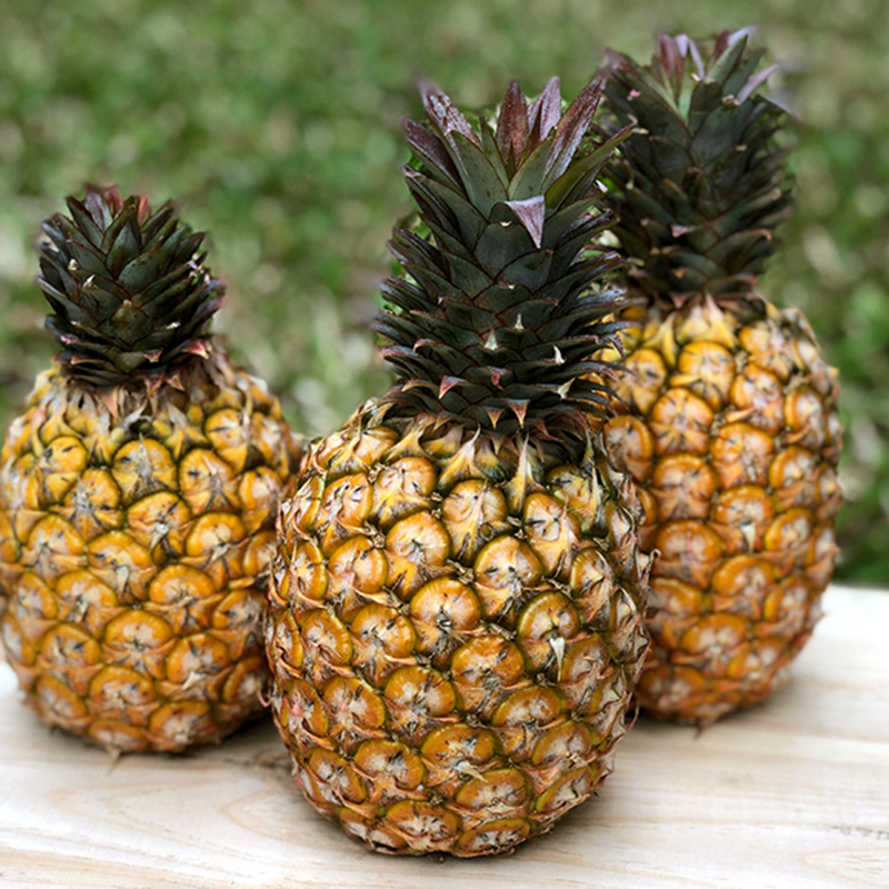 Diamond Pineapple 6-8PCS/10kg EC CO, , large