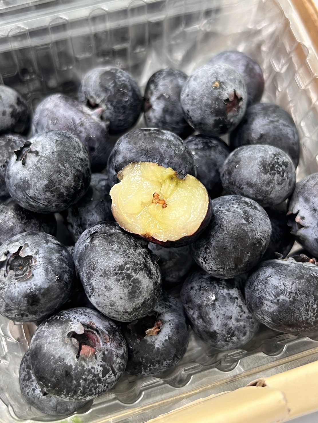 Blueberry, , large