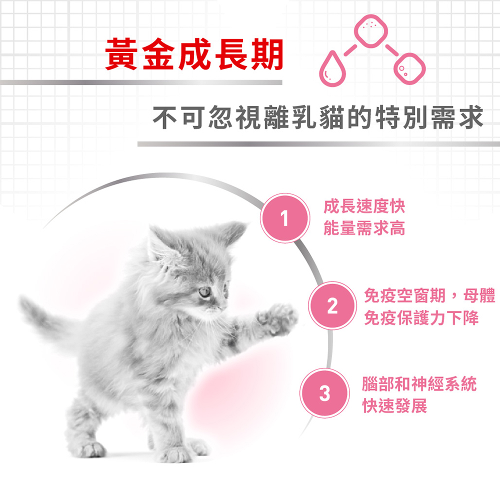 Royal Canin Weaning Kittens & Nursing Mothers BC34, , large