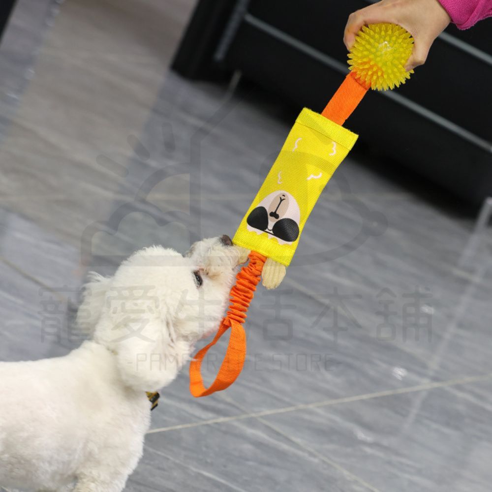 【寵愛生活本舖】酷酷熊彈力球拔河發聲玩具 寵物玩具 狗狗玩具 啃咬玩具, , large