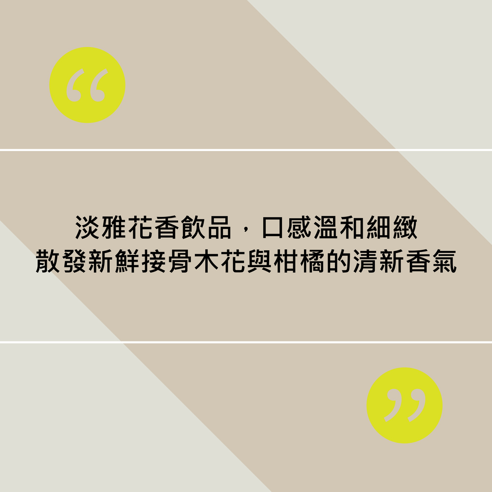 【Folkington's】接骨木花氣泡飲 330ml, , large