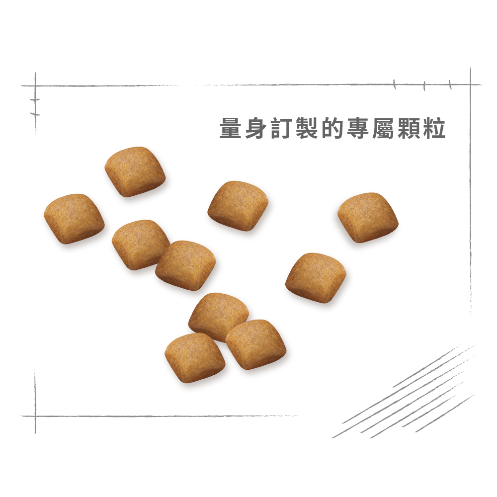 【拉拉寵物小舖】法國皇家 狗飼料 S26 柴犬成犬專用乾糧 4公斤, , large