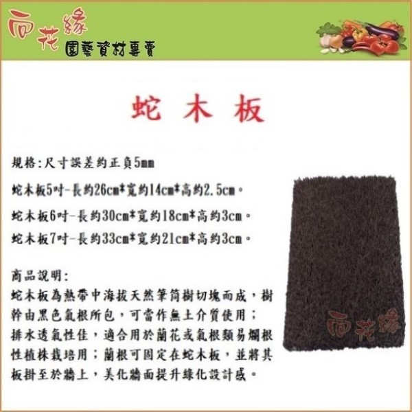 Tree ferm board 5 inch, , large