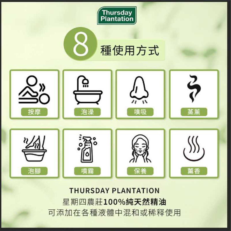 【ThursdayPlantation星期四農莊】經典精油組 50ml*3 (尤加利/薰衣草/茶樹各一瓶)贈原廠擴香木, , large