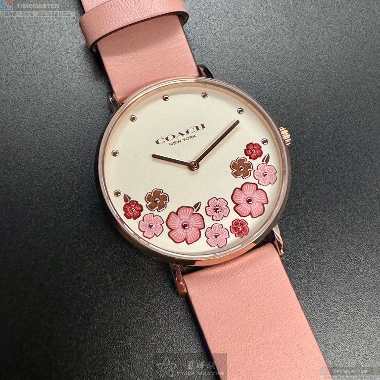 [TIMEMASTER] COACH watch, 36mm, CH00204, , large
