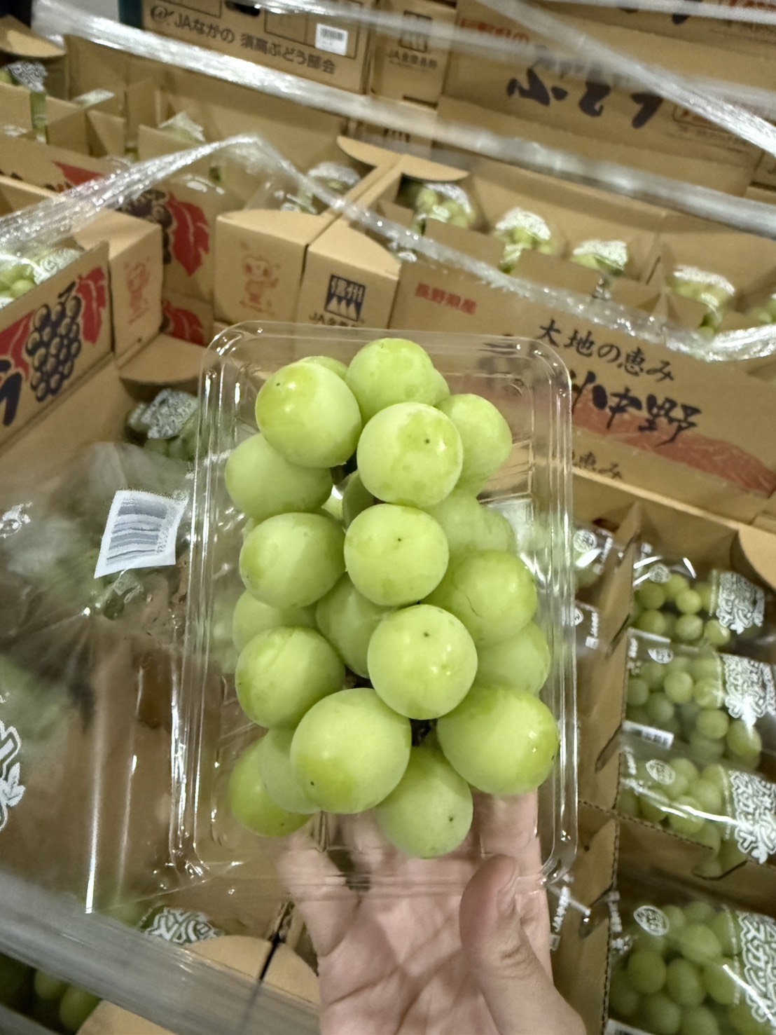 Nagano, Japan (Shine Muscat Grapes), , large