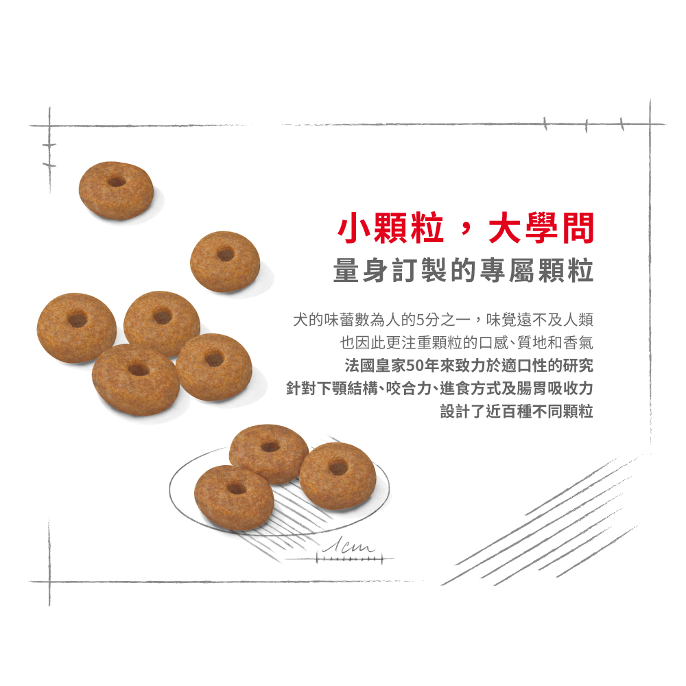 Royal Canin法國皇家小型室內熟齡犬8+MNINA+8, , large