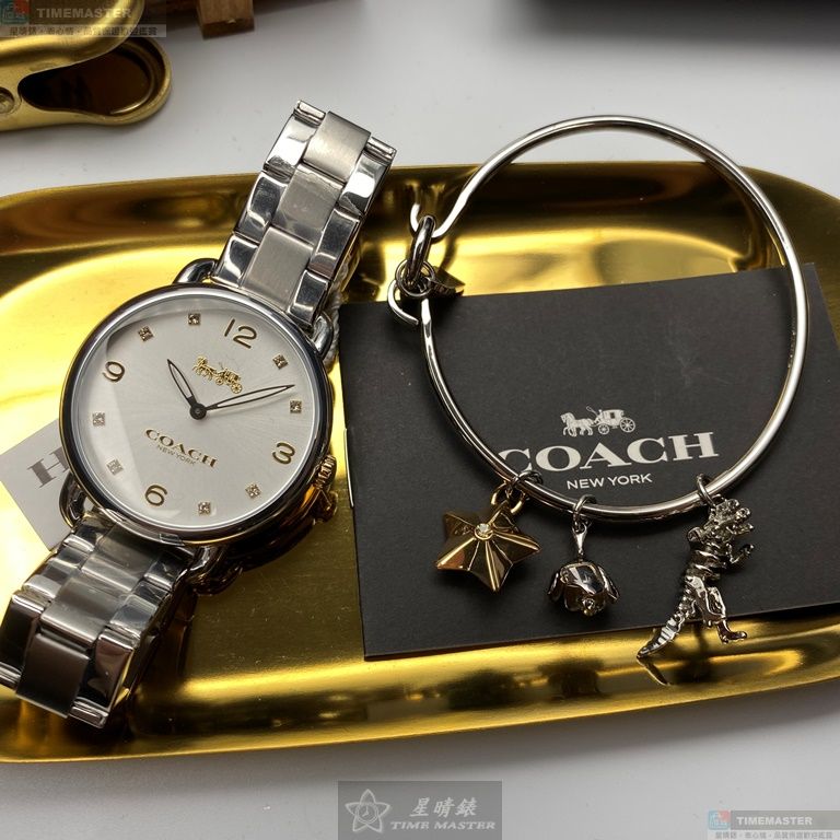 [TIMEMASTER] COACH watch, 36mm, CH00082, , large