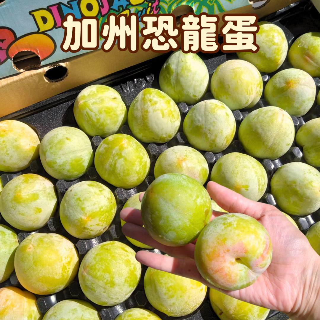 Dinosaur Egg Pluot, , large